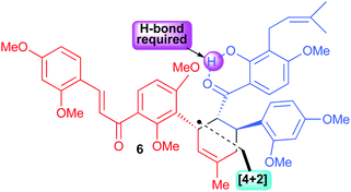 Pic - Mulberry molecular Structure